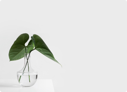 FreshLeaf eCommerce homepage screenshot